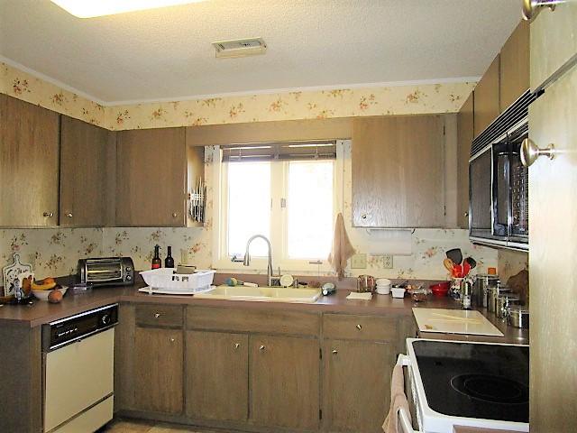 7 Andre Michaux Road Santee, SC 29142 - Photo 5 of 13 Window Over Double SInk