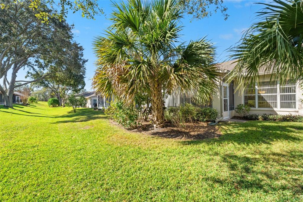 2223 Springmeadow Drive Spring Hill, FL 34606 - Photo 34 of 45 Gallery Image 34