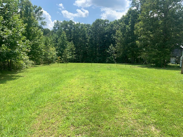 126 Kimberly Road Hohenwald, TN 38462 - Photo 1 of 11 Gallery Image 1