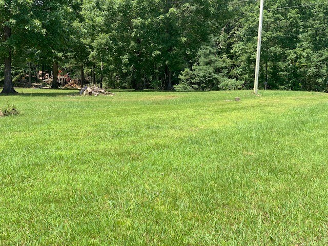 126 Kimberly Road Hohenwald, TN 38462 - Photo 2 of 11 Gallery Image 2