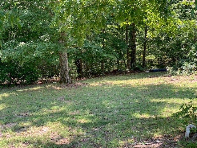 126 Kimberly Road Hohenwald, TN 38462 - Photo 11 of 11 Gallery Image 11