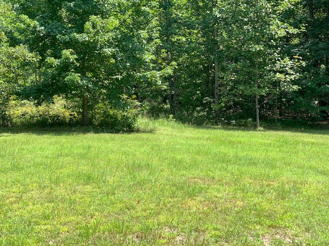 126 Kimberly Road Hohenwald, TN 38462 - Photo 8 of 11 Gallery Image 8