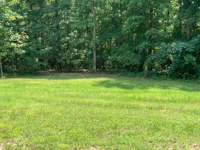 126 Kimberly Road Hohenwald, TN 38462 - Photo 9 of 11 Gallery Image 9