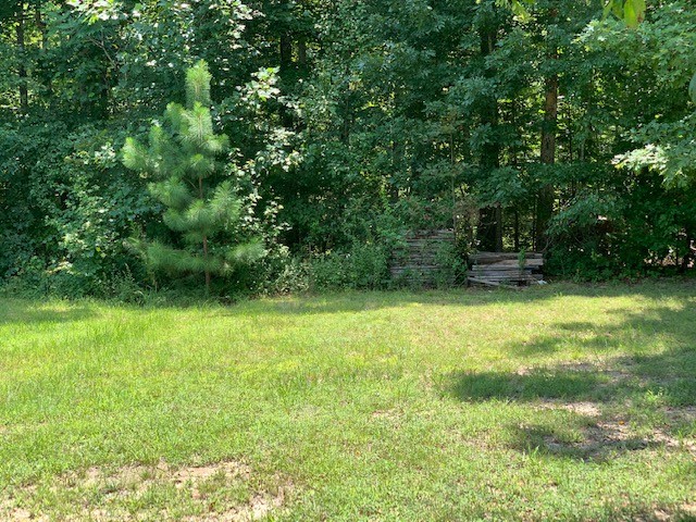 126 Kimberly Road Hohenwald, TN 38462 - Photo 10 of 11 Gallery Image 10