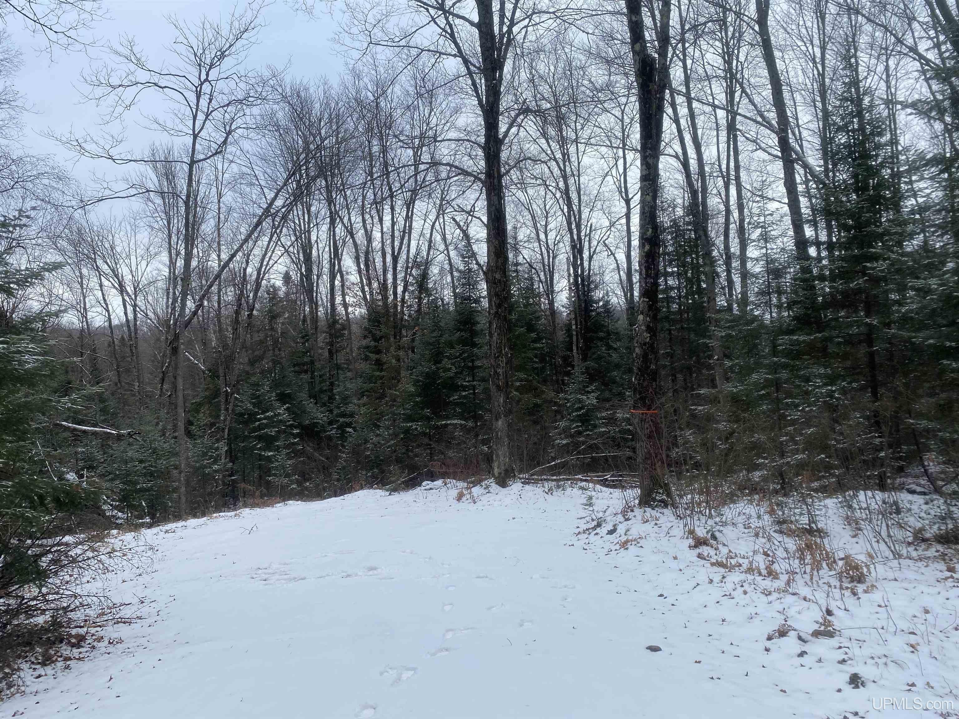 Tbd Pomeroy Lk Road Marenisco, MI 49947 - Photo 6 of 6