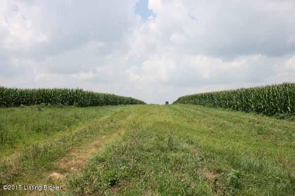 763 Drennon Road New Castle, KY 40050 - Photo 25 of 32 IMG_5447