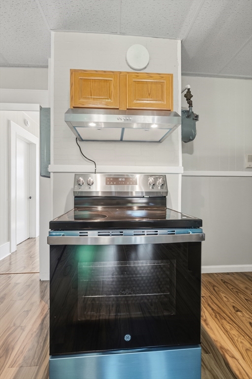 55 Chestnut Street, Unit 1 Holyoke, MA 01040 - Photo 3 of 20