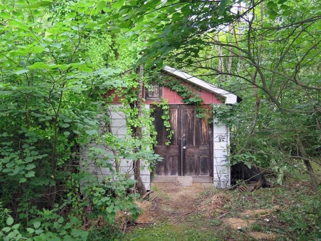 13752 Redstone Ridge Road James Creek, PA 16657 - Photo 12 of 53 Gallery Image 12