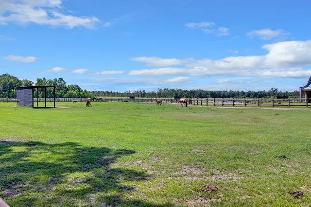 $800,000 | 3998 Capensis Lane, Ravenel, SC 29470