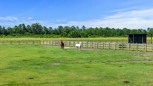 $800,000 | 3998 Capensis Lane, Ravenel, SC 29470