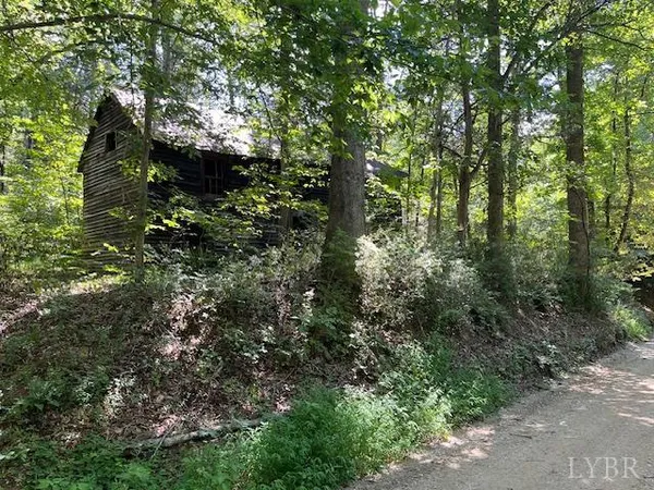 a view of a forest with trees