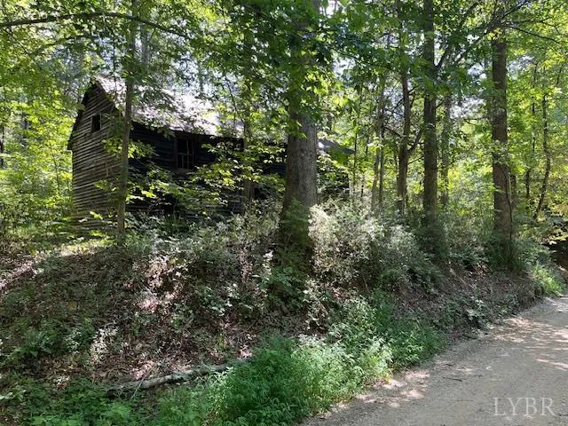 a view of a forest with trees