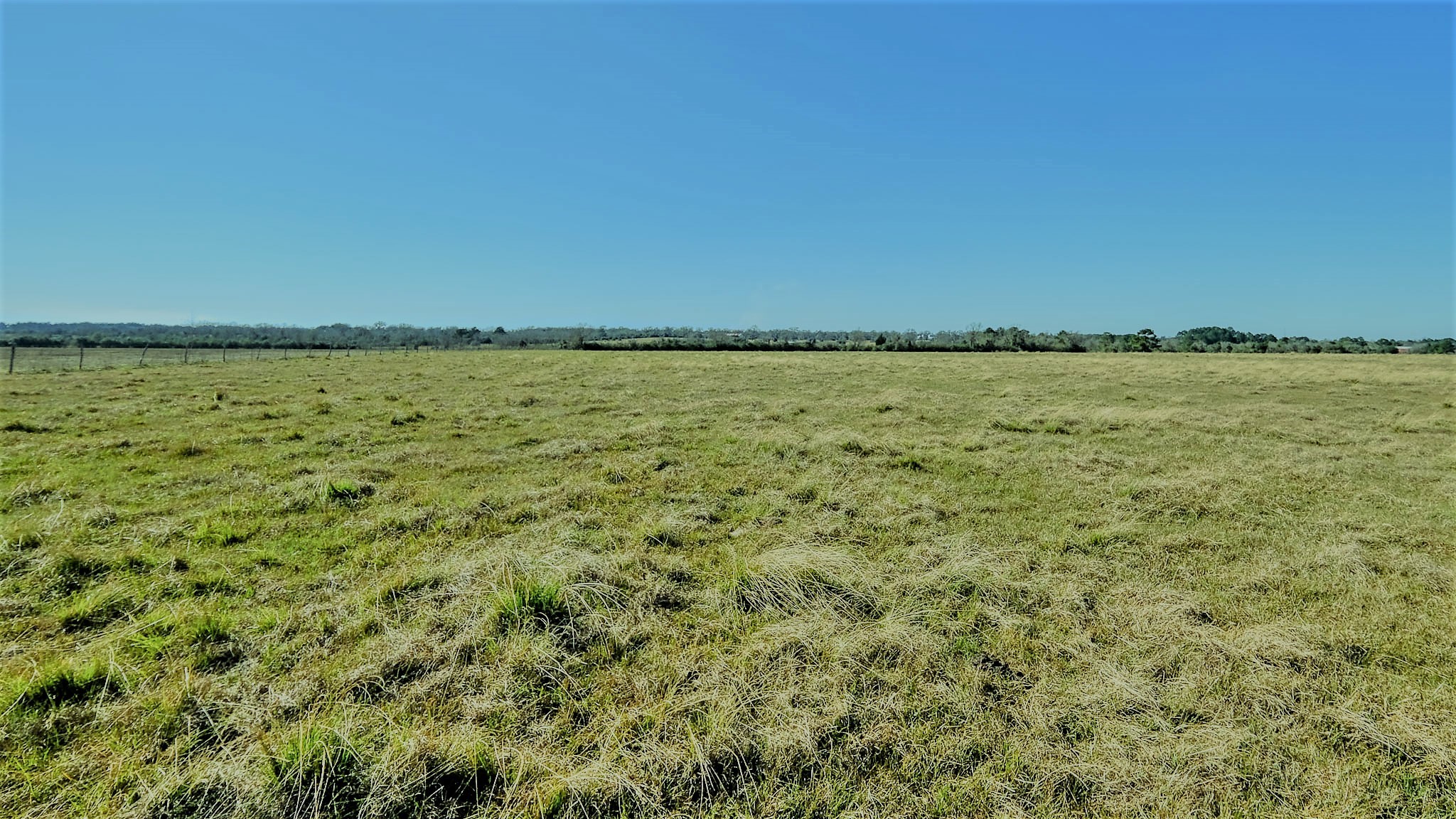 26266 Fields Store Road Waller, TX 77484 - Photo 44 of 49 Gallery Image 44