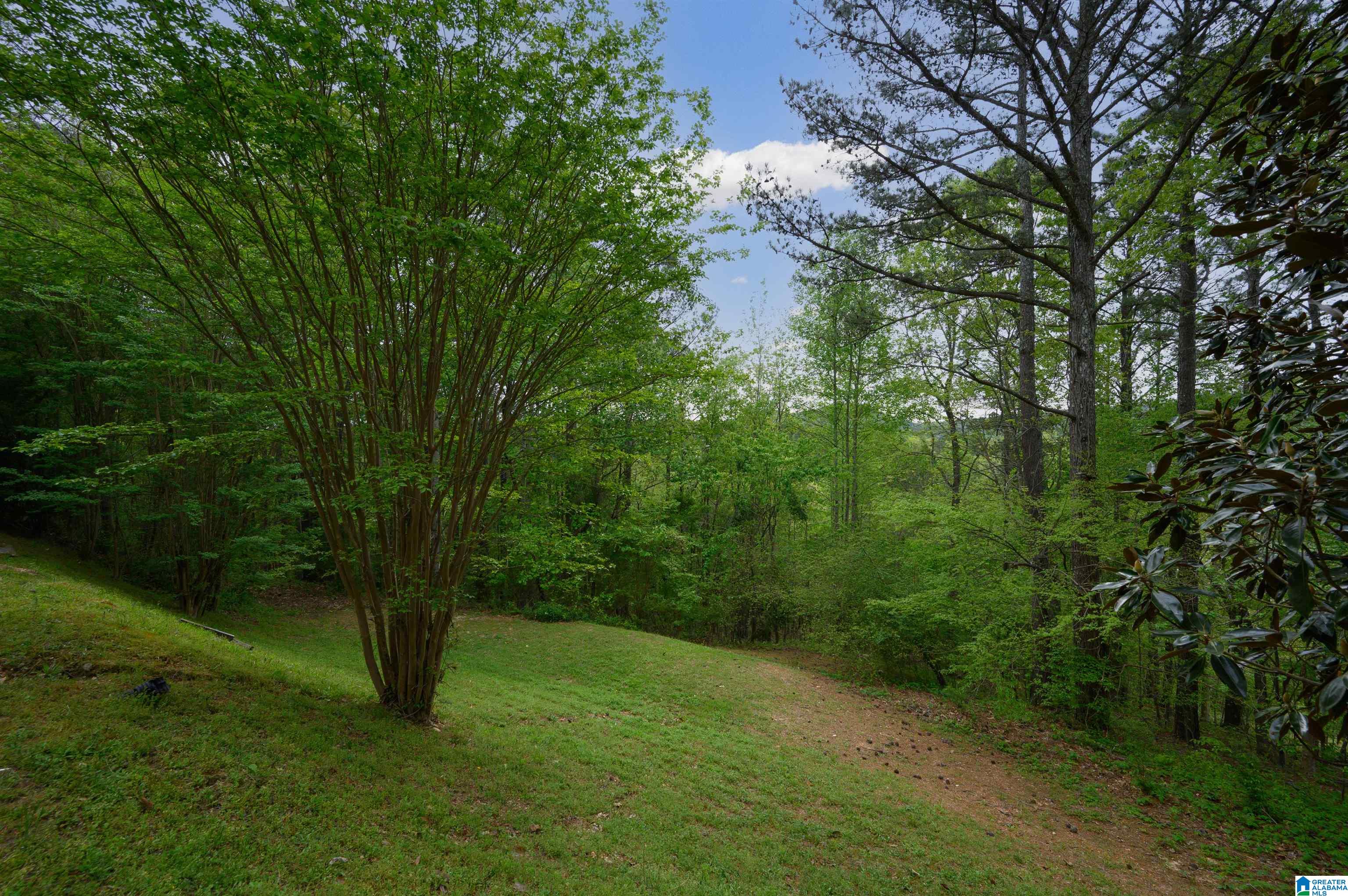 90 Ridgewood Lane Odenville, AL 35120 - Photo 52 of 65
