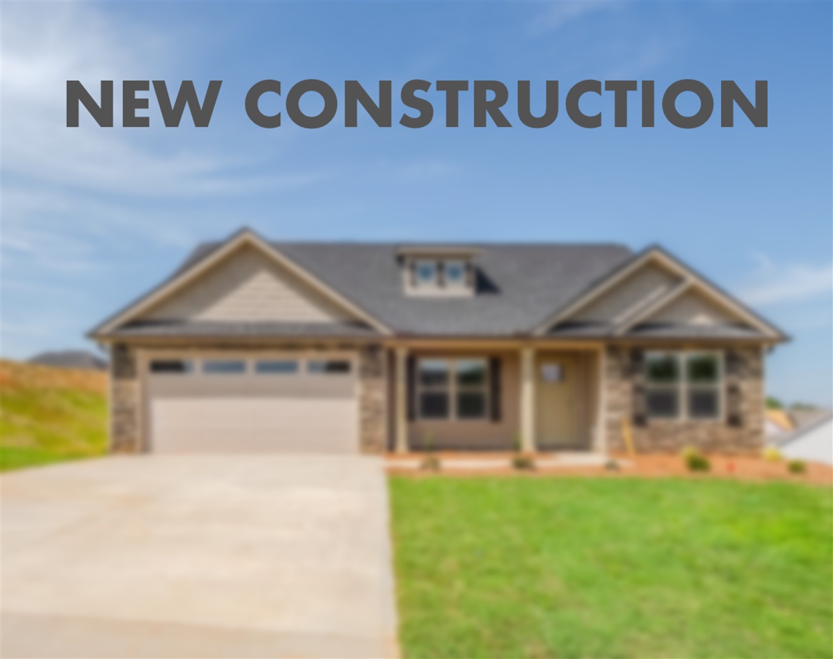 1174 Springdale Road Mayo, SC 29330 - Photo 1 of 18