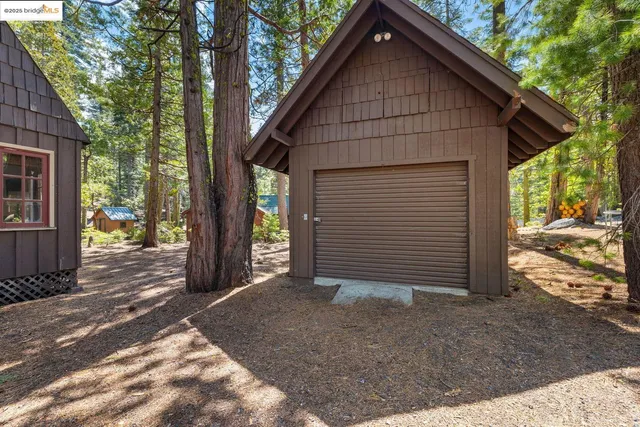 a view of a house with a small yard plants and large tree