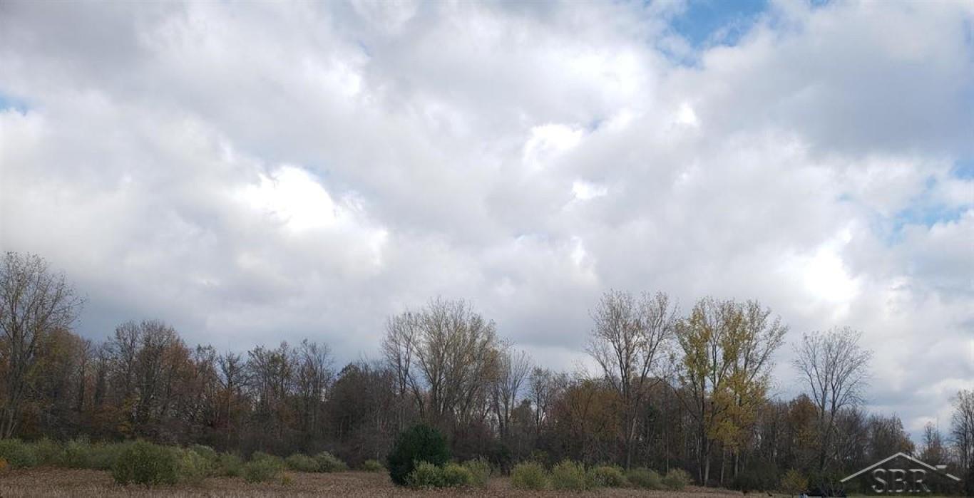 5120 North Five Mile Road Hope, MI 48628 - Photo 9 of 13 50198262-e8f91ae7-a08d-4f3b-9d0d-869c0cc3d370.JPG