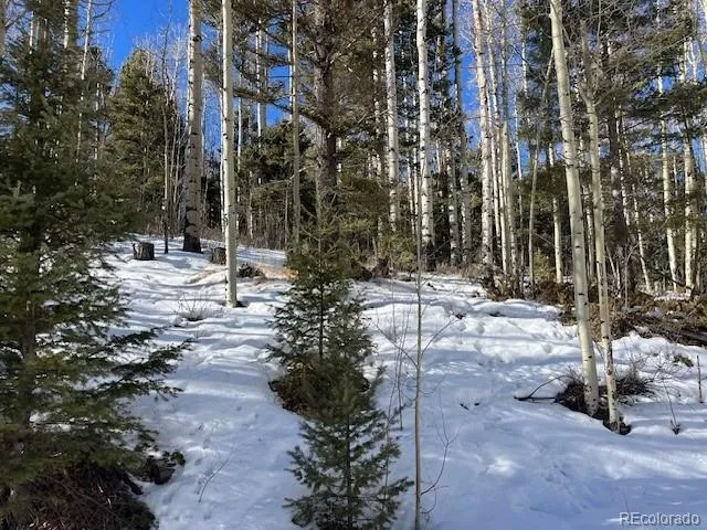 a view of a backyard of the house