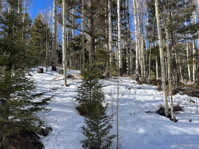 Lot 5252 Scott Road Fort Garland, CO 81133 - Photo 13 of 32 a view of a park with large trees