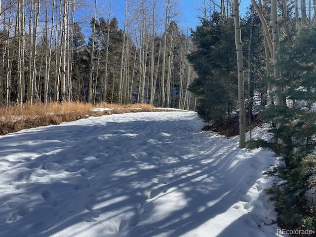 Lot 5252 Scott Road Fort Garland, CO 81133 - Photo 14 of 32 a view of a backyard of the house