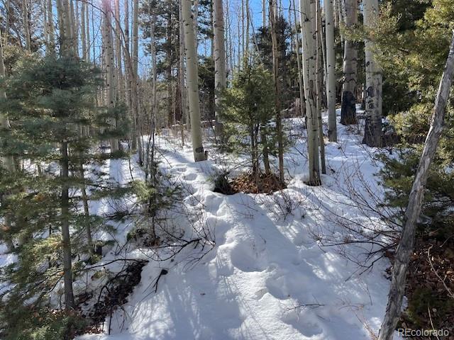 Lot 5252 Scott Road Fort Garland, CO 81133 - Photo 15 of 32 a view of yard