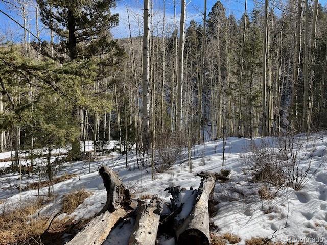 Lot 5252 Scott Road Fort Garland, CO 81133 - Photo 20 of 32 a view of outdoor space with sitting area