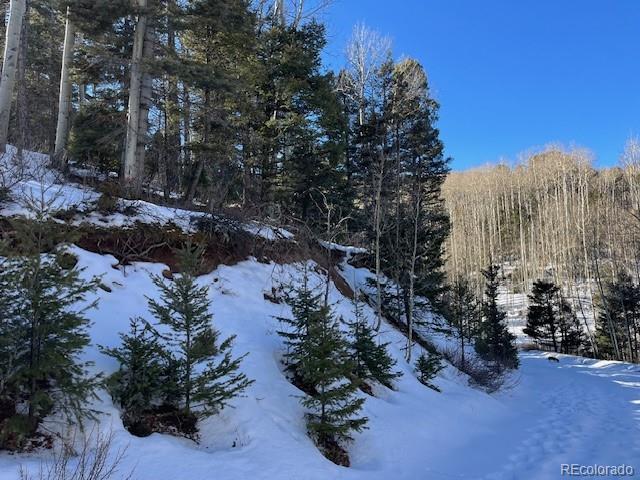 Lot 5252 Scott Road Fort Garland, CO 81133 - Photo 2 of 32 a view of a city with tall trees