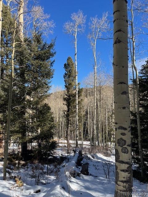 Lot 5252 Scott Road Fort Garland, CO 81133 - Photo 21 of 32 a view of a city with tall buildings
