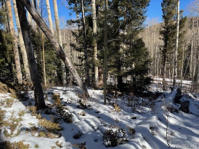 Lot 5252 Scott Road Fort Garland, CO 81133 - Photo 22 of 32 a picture of trees