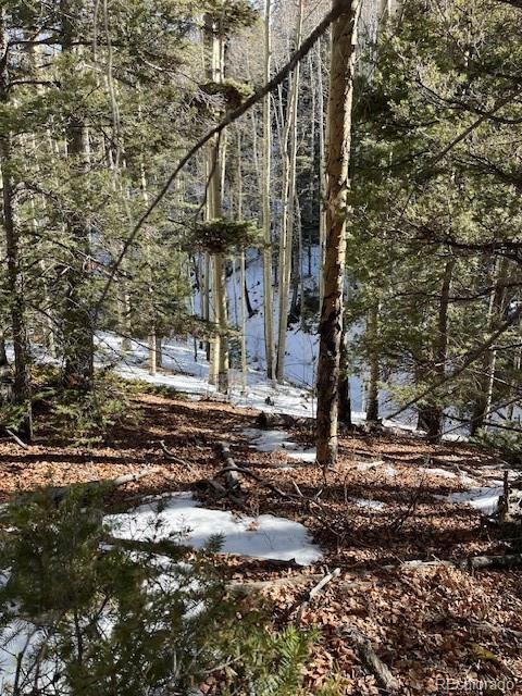 Lot 5252 Scott Road Fort Garland, CO 81133 - Photo 23 of 32 a view of a yard with a tree