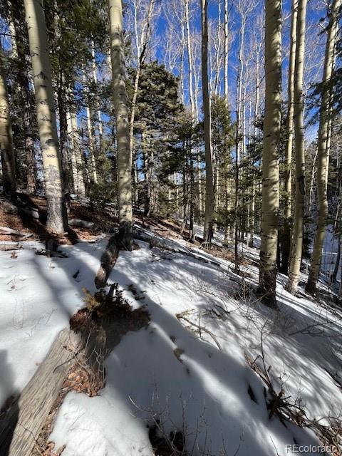 Lot 5252 Scott Road Fort Garland, CO 81133 - Photo 26 of 32 a view of a city street