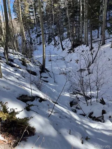 $26,000 | Lot 5252 Scott Road, Fort Garland, CO 81133