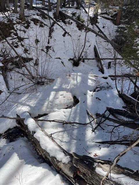 Lot 5252 Scott Road Fort Garland, CO 81133 - Photo 28 of 32