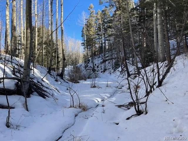 $26,000 | Lot 5252 Scott Road, Fort Garland, CO 81133