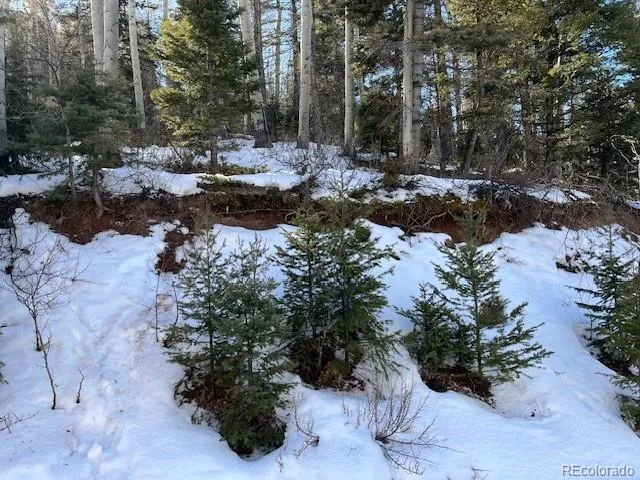 a view of a park with plants and trees
