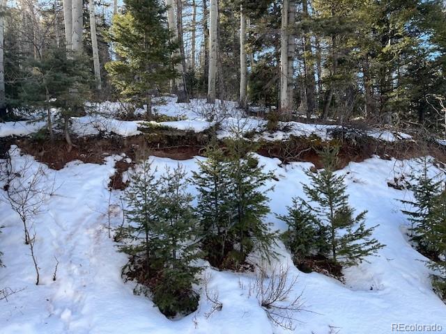 Lot 5252 Scott Road Fort Garland, CO 81133 - Photo 3 of 32 a view of a park with plants and trees