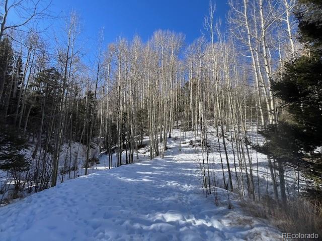 Lot 5252 Scott Road Fort Garland, CO 81133 - Photo 8 of 32 a view of outdoor space with patio and wooden fence