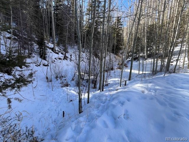 Lot 5252 Scott Road Fort Garland, CO 81133 - Photo 9 of 32 a view of a park with large trees