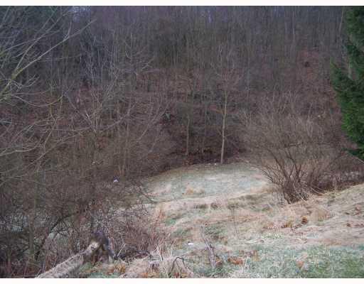 5318 Middle Road Gibsonia, PA 15044 - Photo 11 of 11 Patio/Deck.