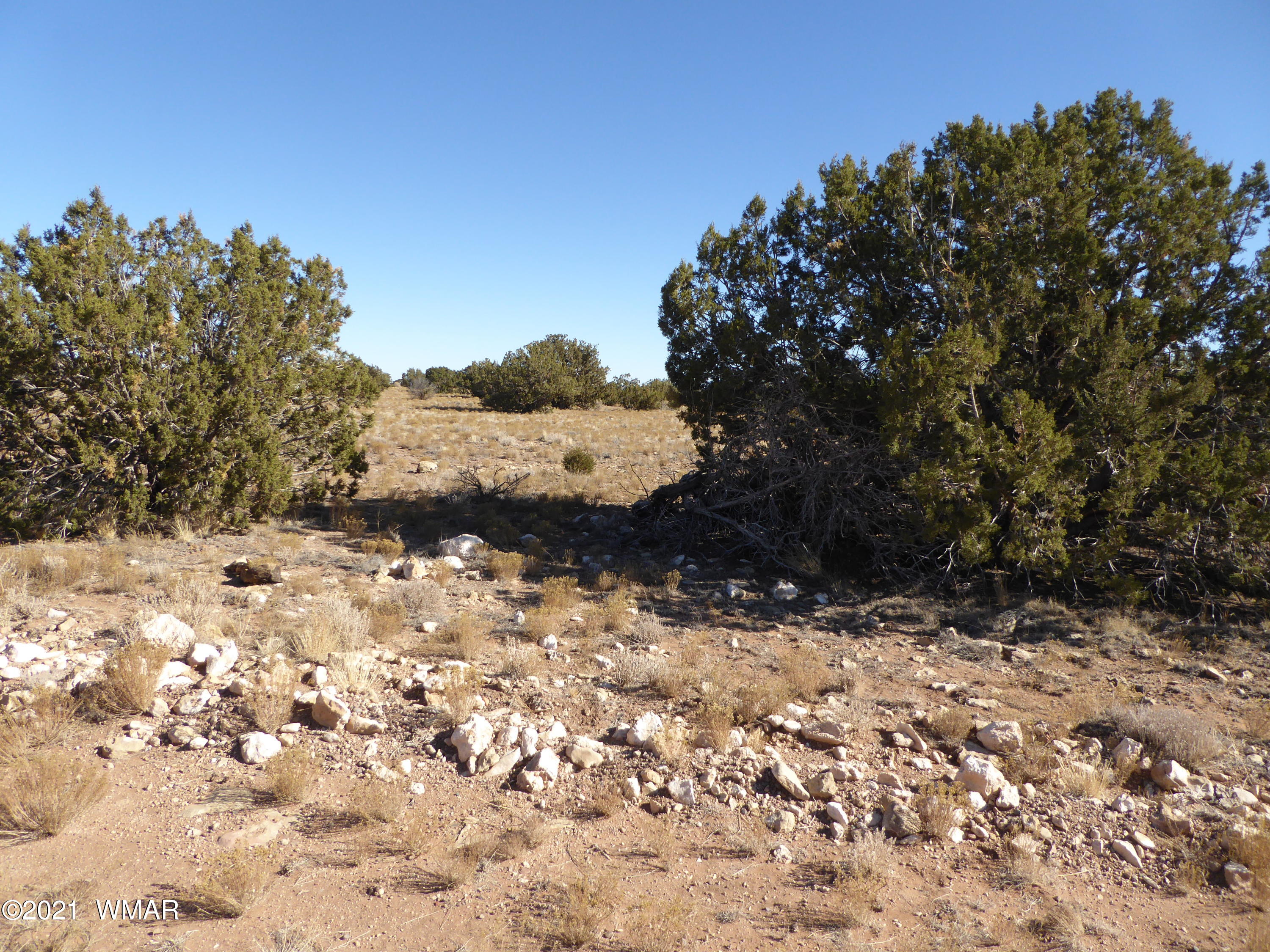 Ccr Ccr Heber, AZ 85928 - Photo 2 of 7