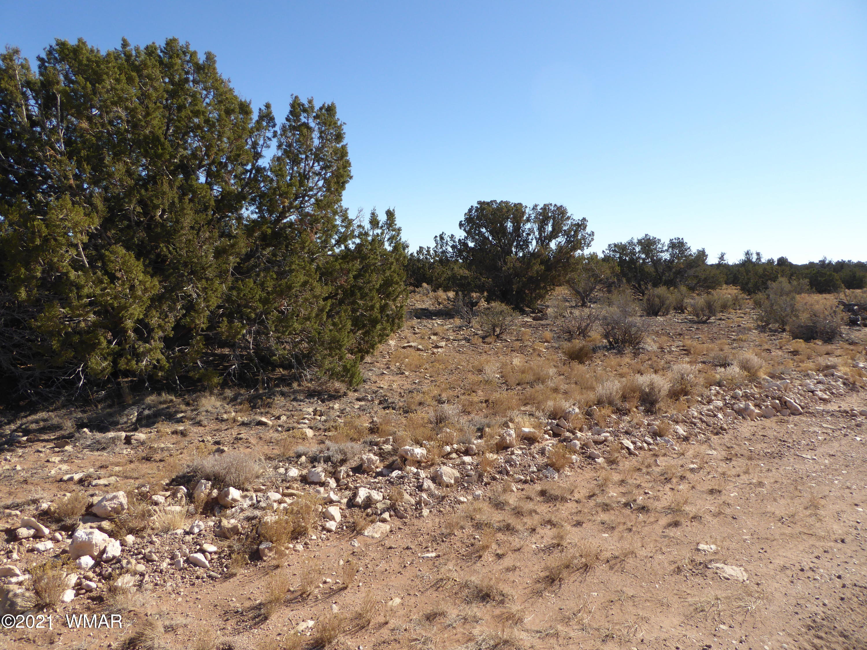 Ccr Ccr Heber, AZ 85928 - Photo 3 of 7