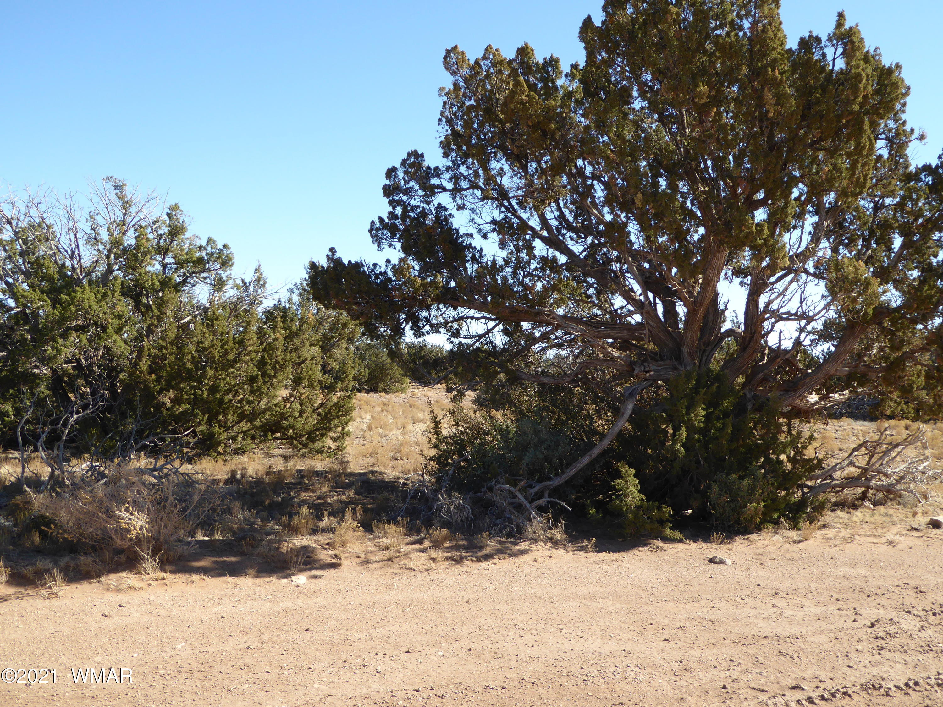 Ccr Ccr Heber, AZ 85928 - Photo 4 of 7