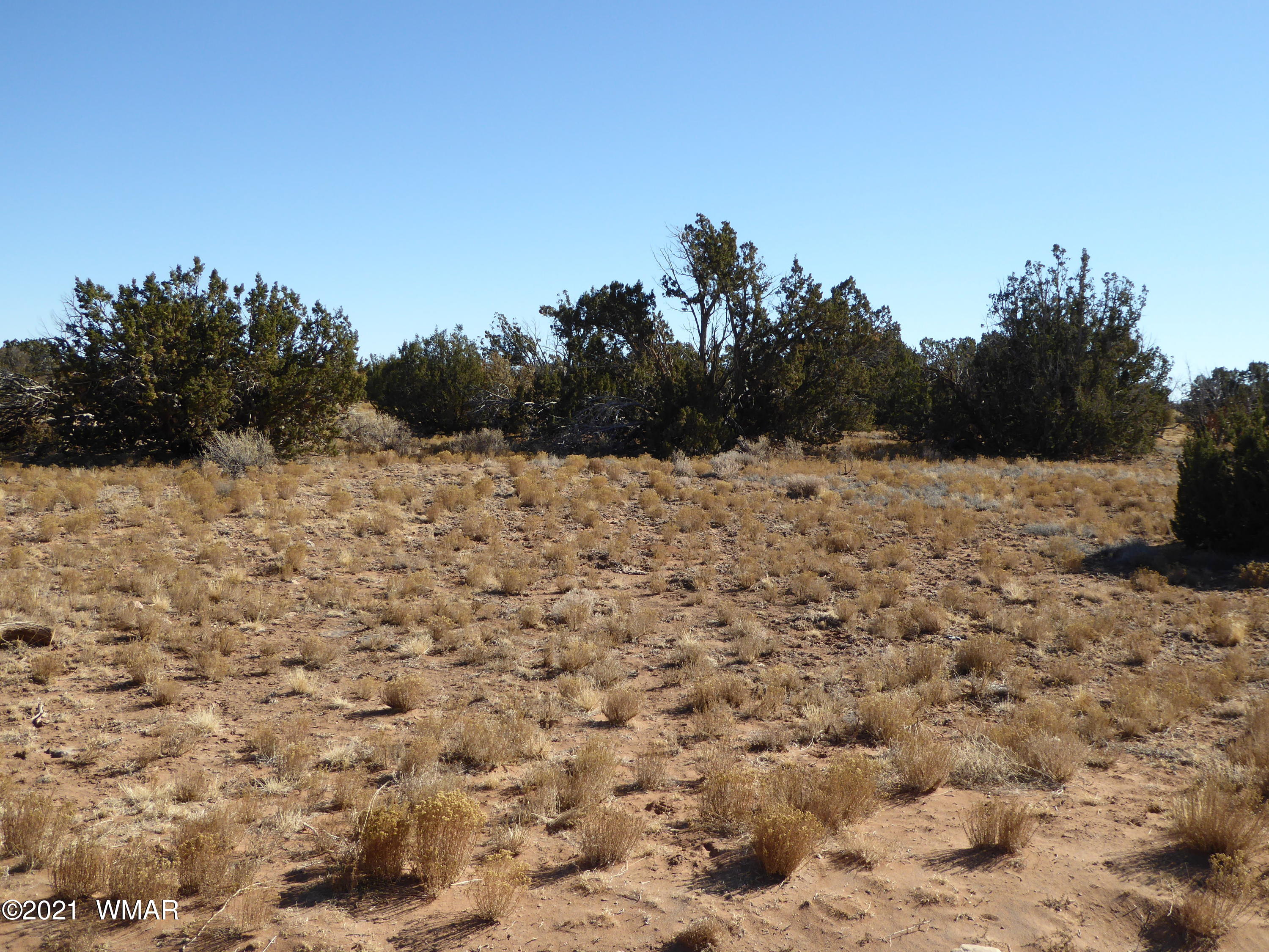 Ccr Ccr Heber, AZ 85928 - Photo 5 of 7