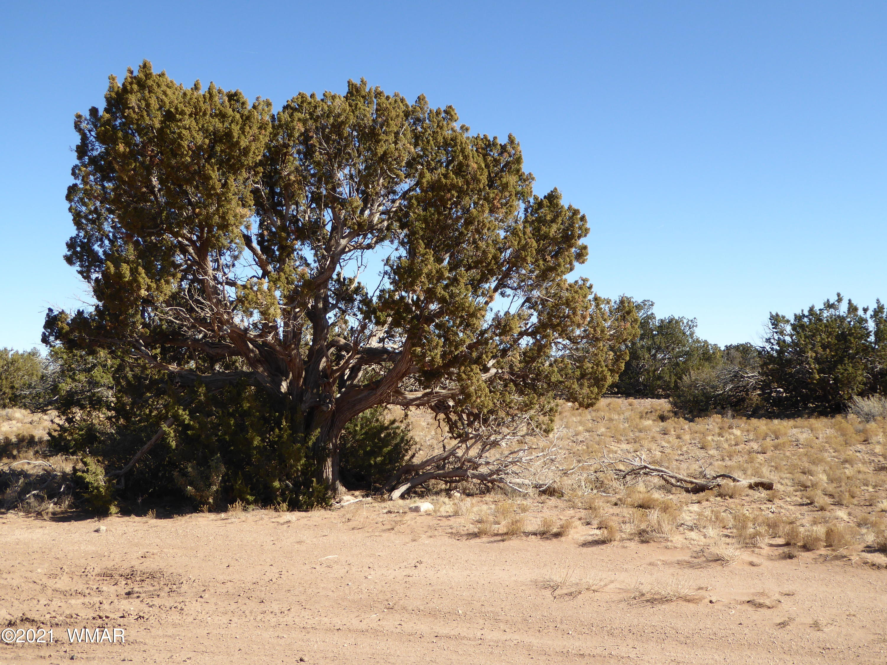 Ccr Ccr Heber, AZ 85928 - Photo 6 of 7