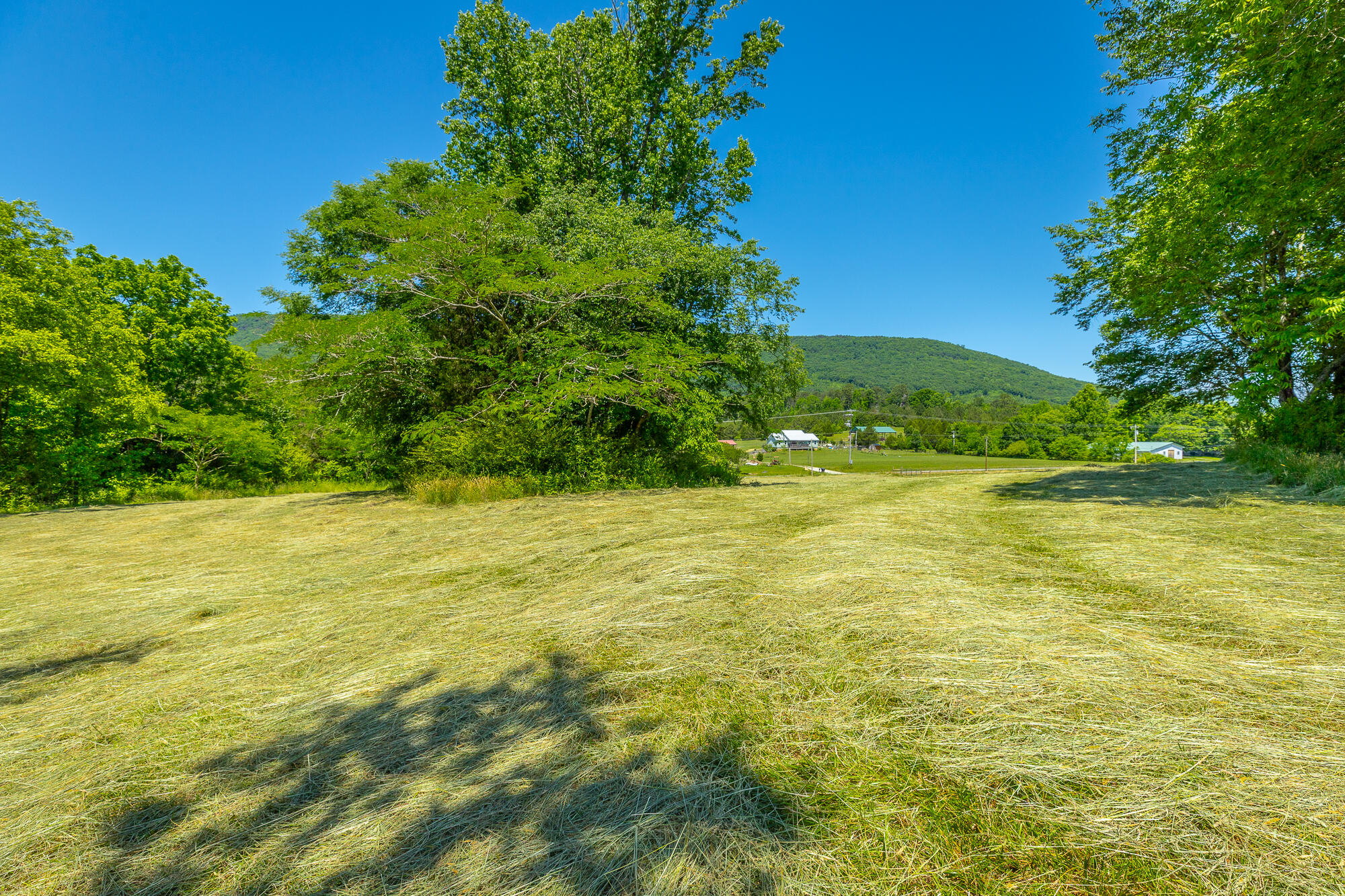 1655 West Cove Road Chickamauga, GA 30707 - Photo 28 of 62 1655 W Cove Road HD-49