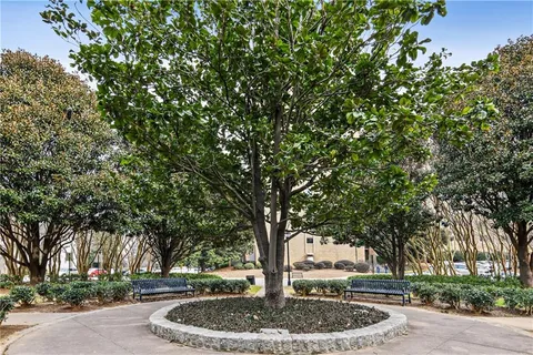 a outdoor space with trees