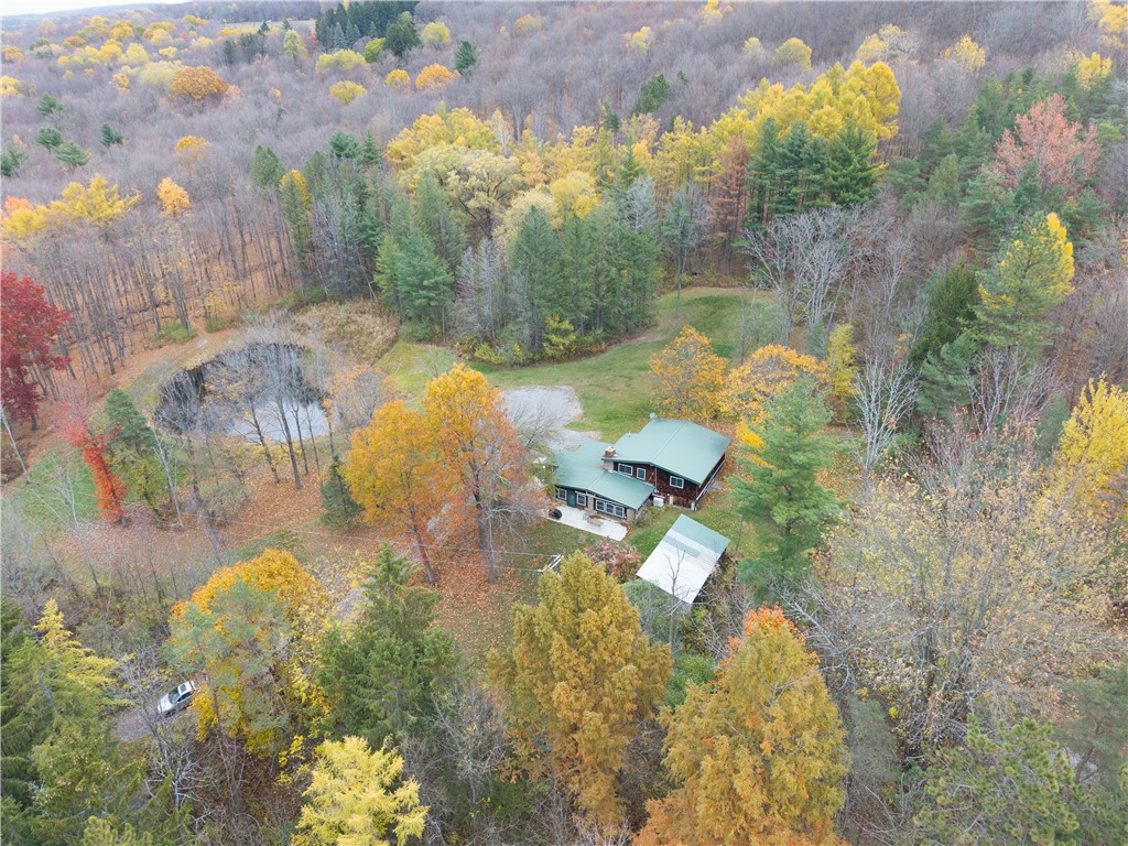 7753 Canadice Road Springwater, NY 14560 - Photo 1 of 44