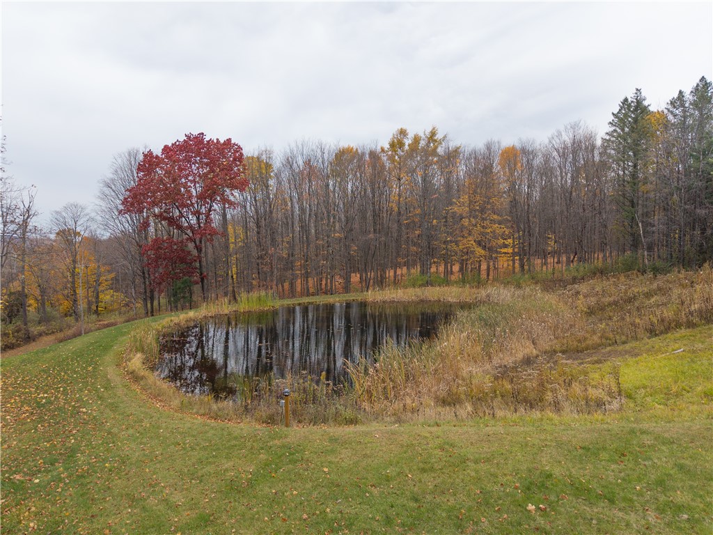 7753 Canadice Road Springwater, NY 14560 - Photo 29 of 44