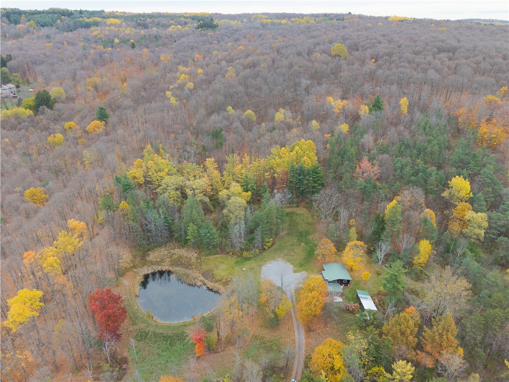 7753 Canadice Road Springwater, NY 14560 - Photo 33 of 44