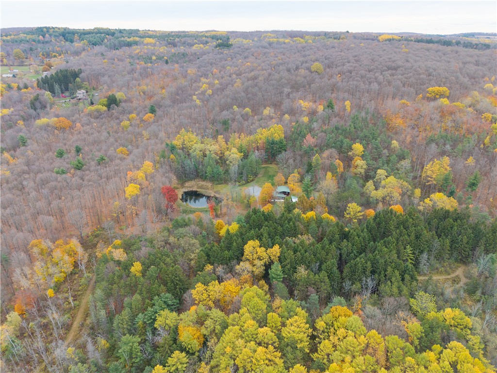 7753 Canadice Road Springwater, NY 14560 - Photo 34 of 44